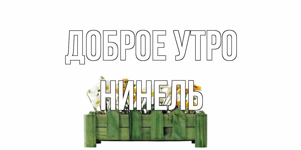 Открытка на каждый день с именем, Нинель Доброе утро цветы Прикольная открытка с пожеланием онлайн скачать бесплатно 