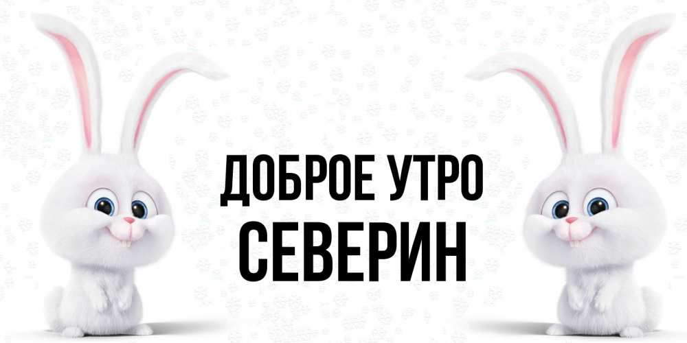Открытка на каждый день с именем, Северин Доброе утро кролики с длинными ушками Прикольная открытка с пожеланием онлайн скачать бесплатно 