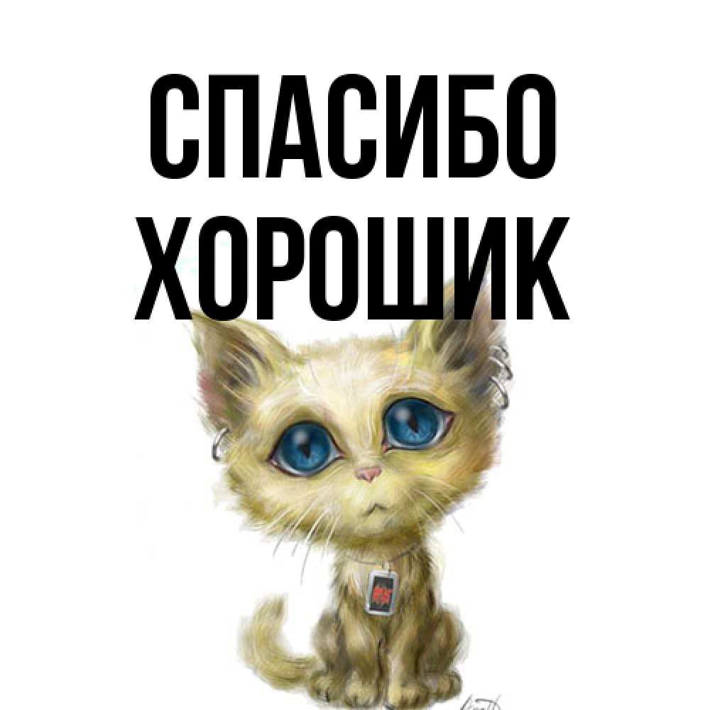 Открытка на каждый день с именем, Хорошик Спасибо рисованный кот благодарит вас Прикольная открытка с пожеланием онлайн скачать бесплатно 