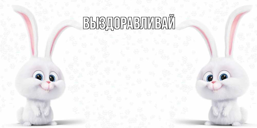 Открытка на каждый день с именем, выберите-имя Выздоравливай не болей с зайцем Прикольная открытка с пожеланием онлайн скачать бесплатно 