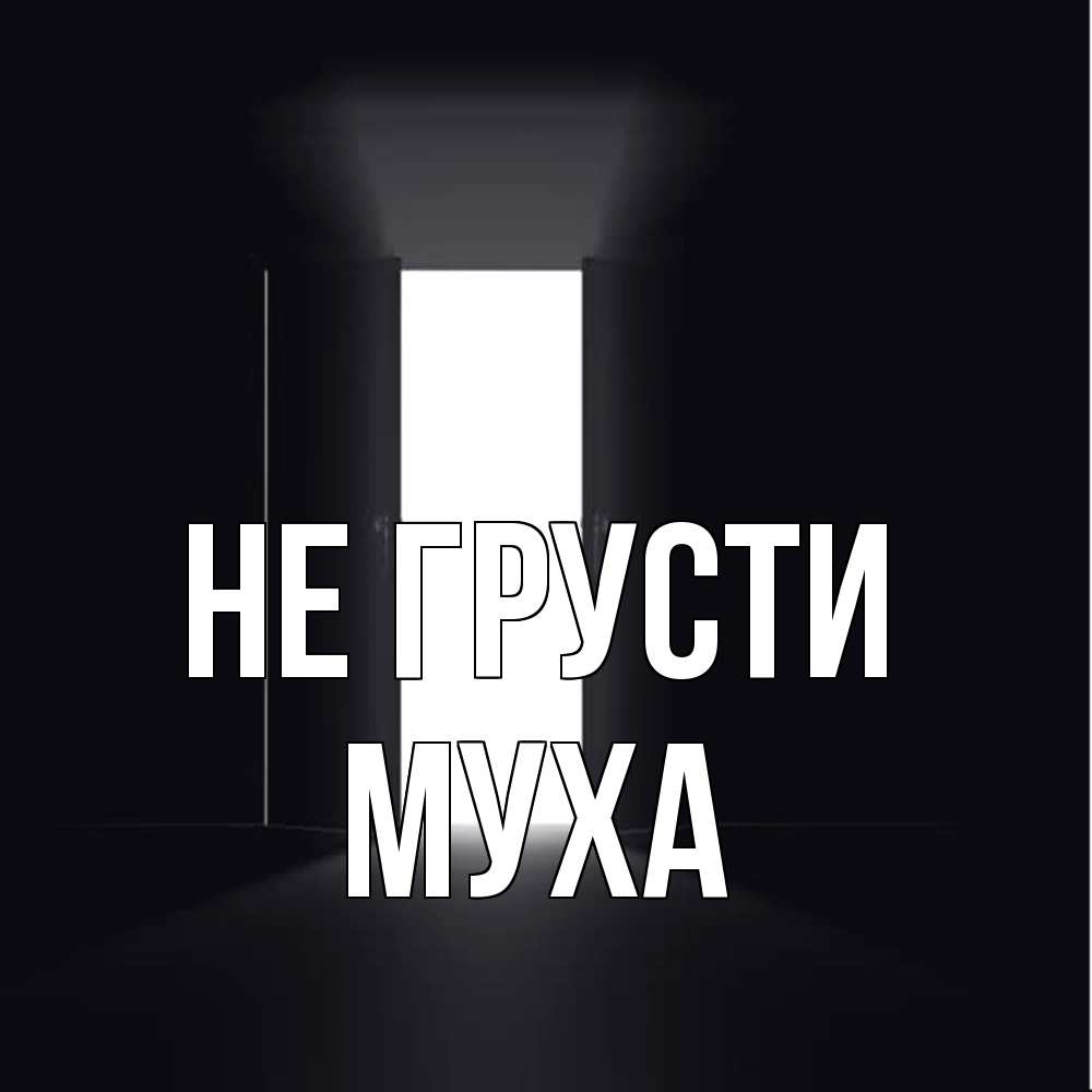 Открытка на каждый день с именем, Муха Не грусти открытая дверь Прикольная открытка с пожеланием онлайн скачать бесплатно 