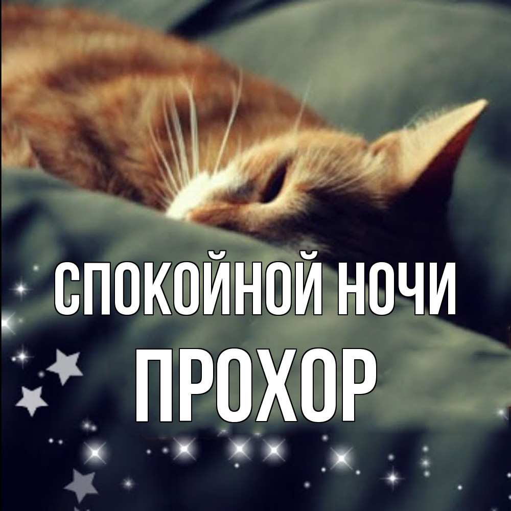 Открытка на каждый день с именем, Прохор Спокойной ночи кроватка Прикольная открытка с пожеланием онлайн скачать бесплатно 