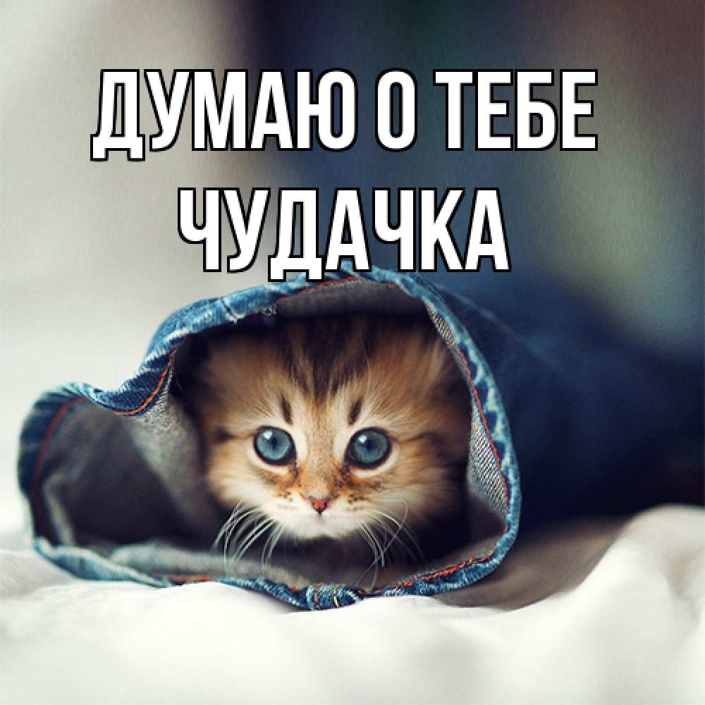 Открытка на каждый день с именем, Чудачка Думаю о тебе мне без тебя плохо Прикольная открытка с пожеланием онлайн скачать бесплатно 