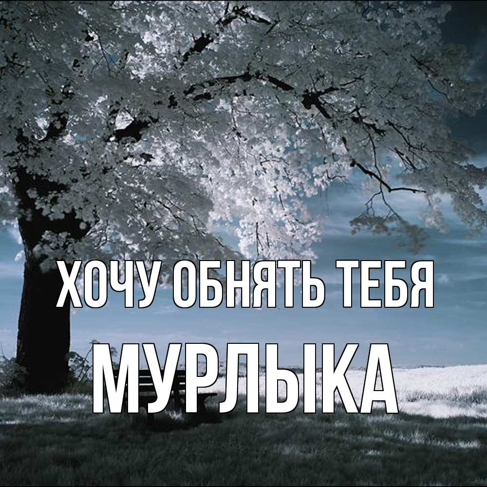 Открытка на каждый день с именем, мурлыка Хочу обнять тебя дерево Прикольная открытка с пожеланием онлайн скачать бесплатно 