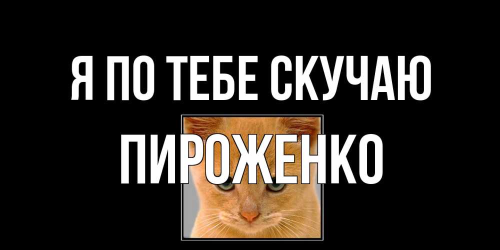 Открытка на каждый день с именем, Пироженко Я по тебе скучаю открытки рыжий котенок скучает по тебе Прикольная открытка с пожеланием онлайн скачать бесплатно 