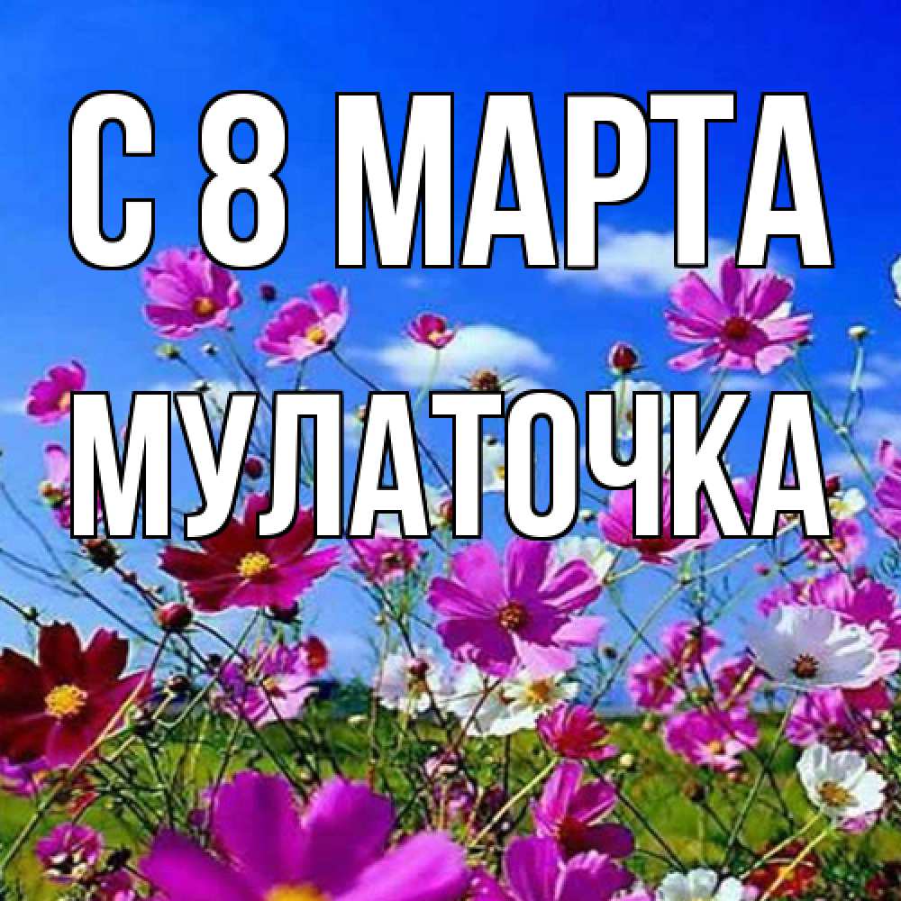 Открытка на каждый день с именем, Мулаточка C 8 МАРТА цветы Прикольная открытка с пожеланием онлайн скачать бесплатно 