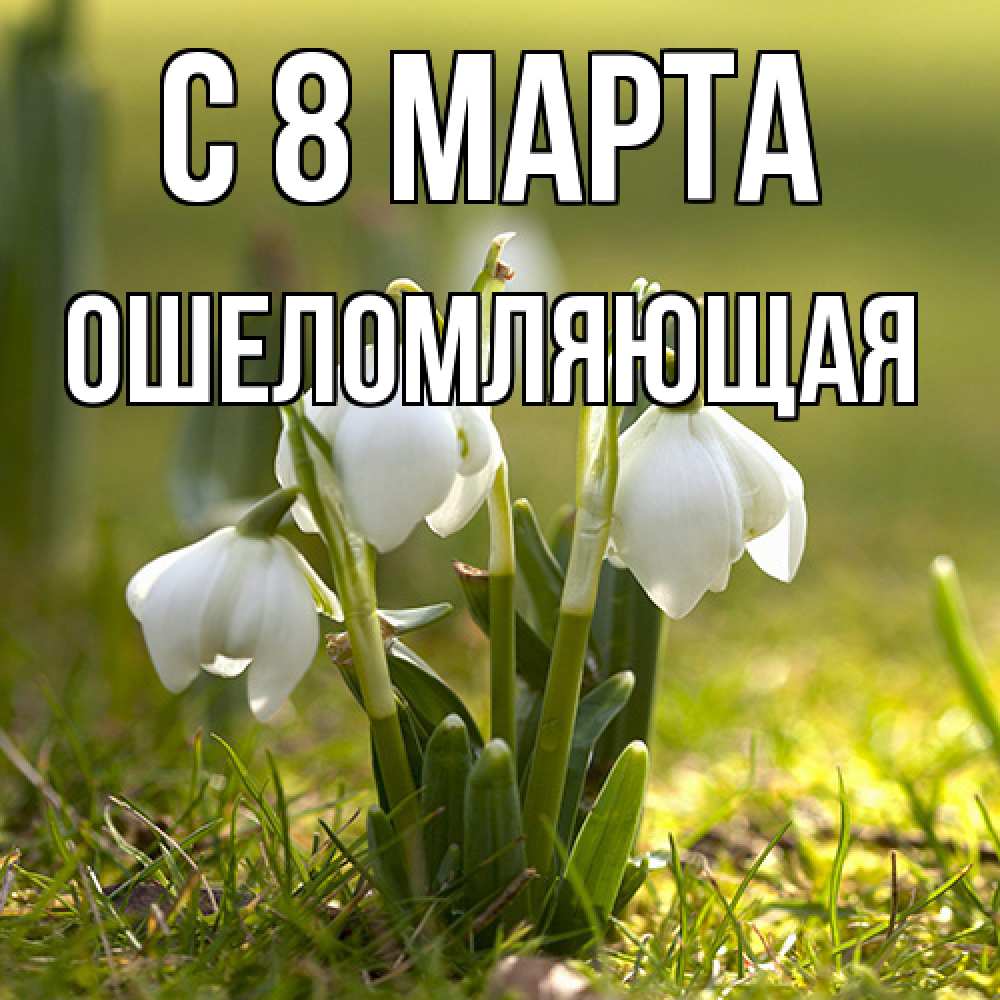 Открытка на каждый день с именем, Ошеломляющая C 8 МАРТА ранние цветы 2 Прикольная открытка с пожеланием онлайн скачать бесплатно 