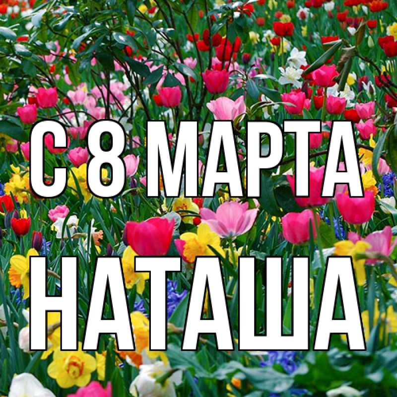 Картинка C 8 МАРТА, Наташа