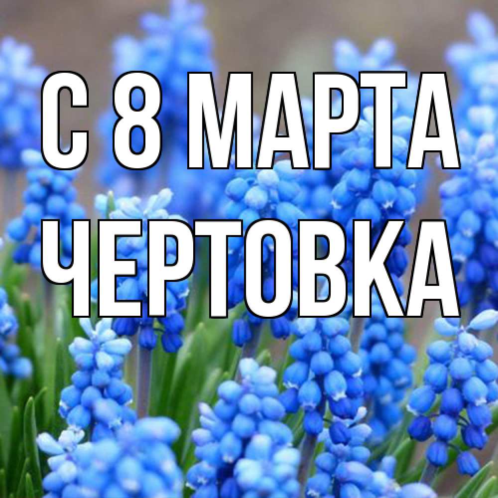 Открытка на каждый день с именем, Чертовка C 8 МАРТА Поздравительная открытка для женщин с цветами на праздничную дату Прикольная открытка с пожеланием онлайн скачать бесплатно 