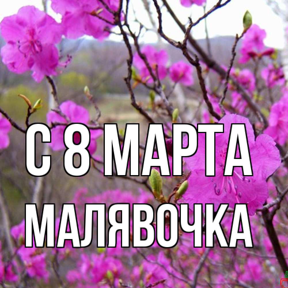 Открытка на каждый день с именем, малявочка C 8 МАРТА международный женский день Прикольная открытка с пожеланием онлайн скачать бесплатно 