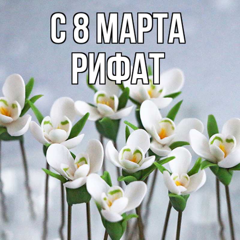 Картинка C 8 МАРТА, Рифат