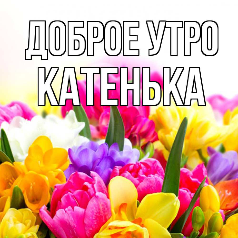 Открытка на каждый день с именем, Катенька Доброе утро создать открытку со свое подписью Прикольная открытка с пожеланием онлайн скачать бесплатно 