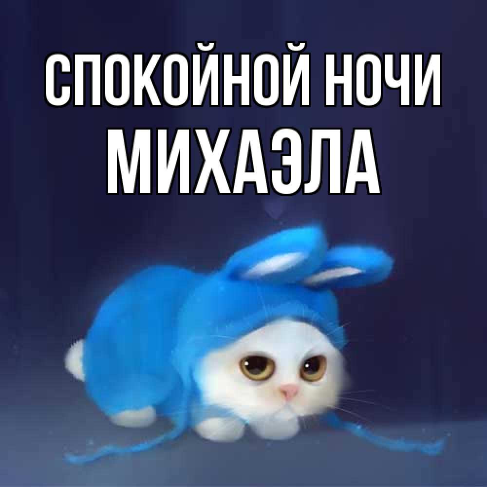 Открытка на каждый день с именем, Михаэла Спокойной ночи кот в голубом костюме кролика с ушками Прикольная открытка с пожеланием онлайн скачать бесплатно 