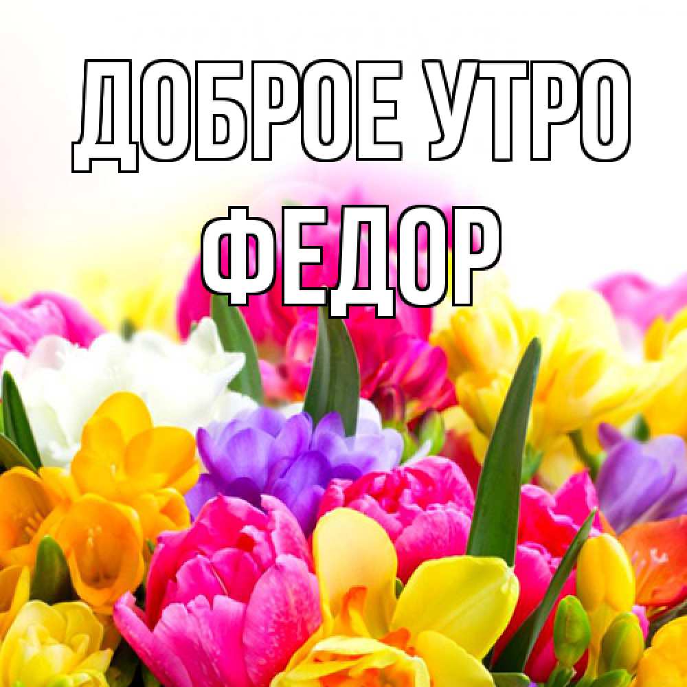 Открытка на каждый день с именем, Федор Доброе утро создать открытку со свое подписью Прикольная открытка с пожеланием онлайн скачать бесплатно 