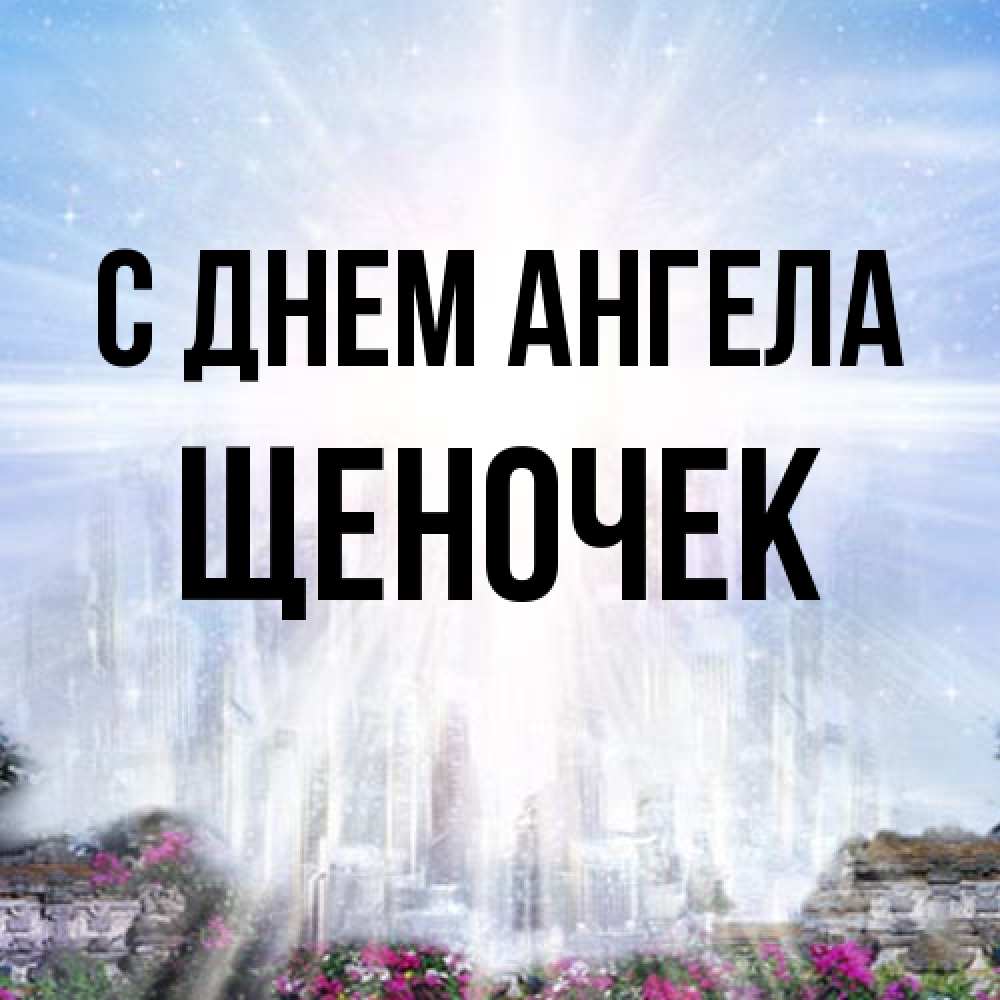 Открытка на каждый день с именем, Щеночек С днем ангела небесный свет Прикольная открытка с пожеланием онлайн скачать бесплатно 