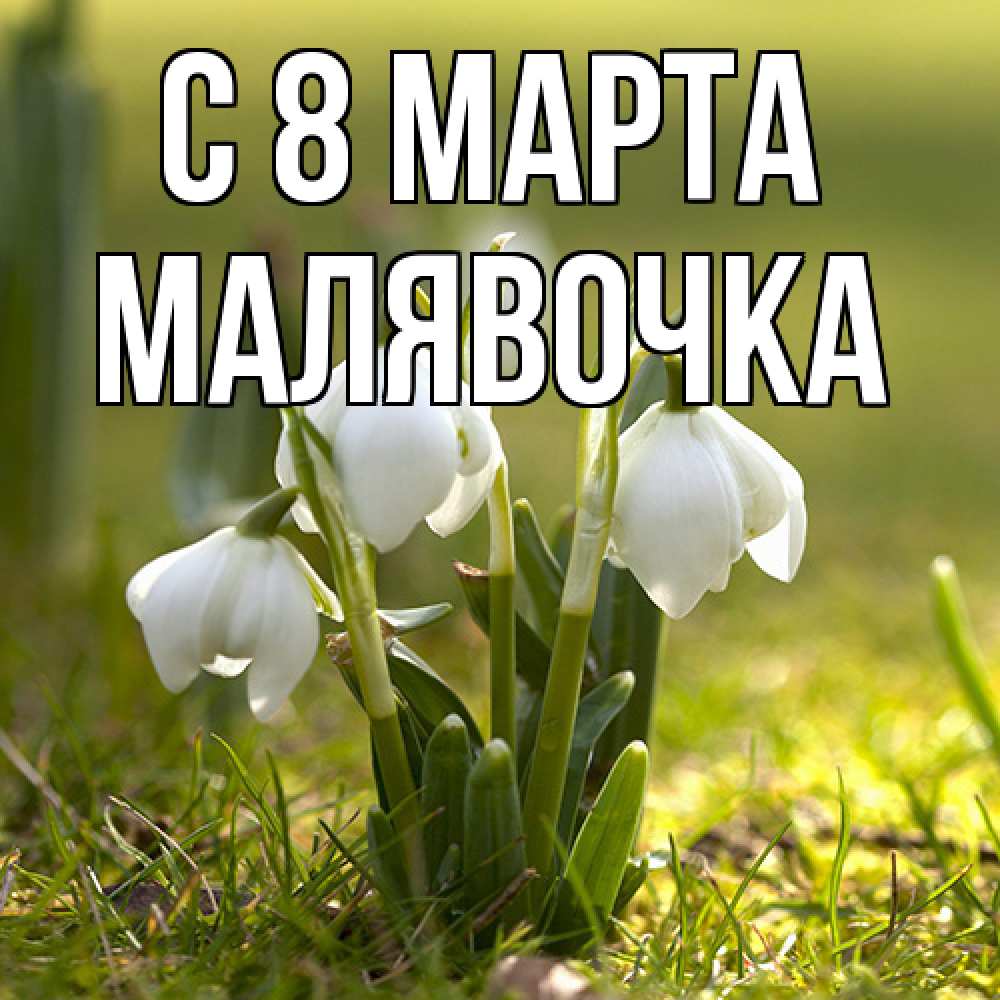 Открытка на каждый день с именем, малявочка C 8 МАРТА ранние цветы 2 Прикольная открытка с пожеланием онлайн скачать бесплатно 