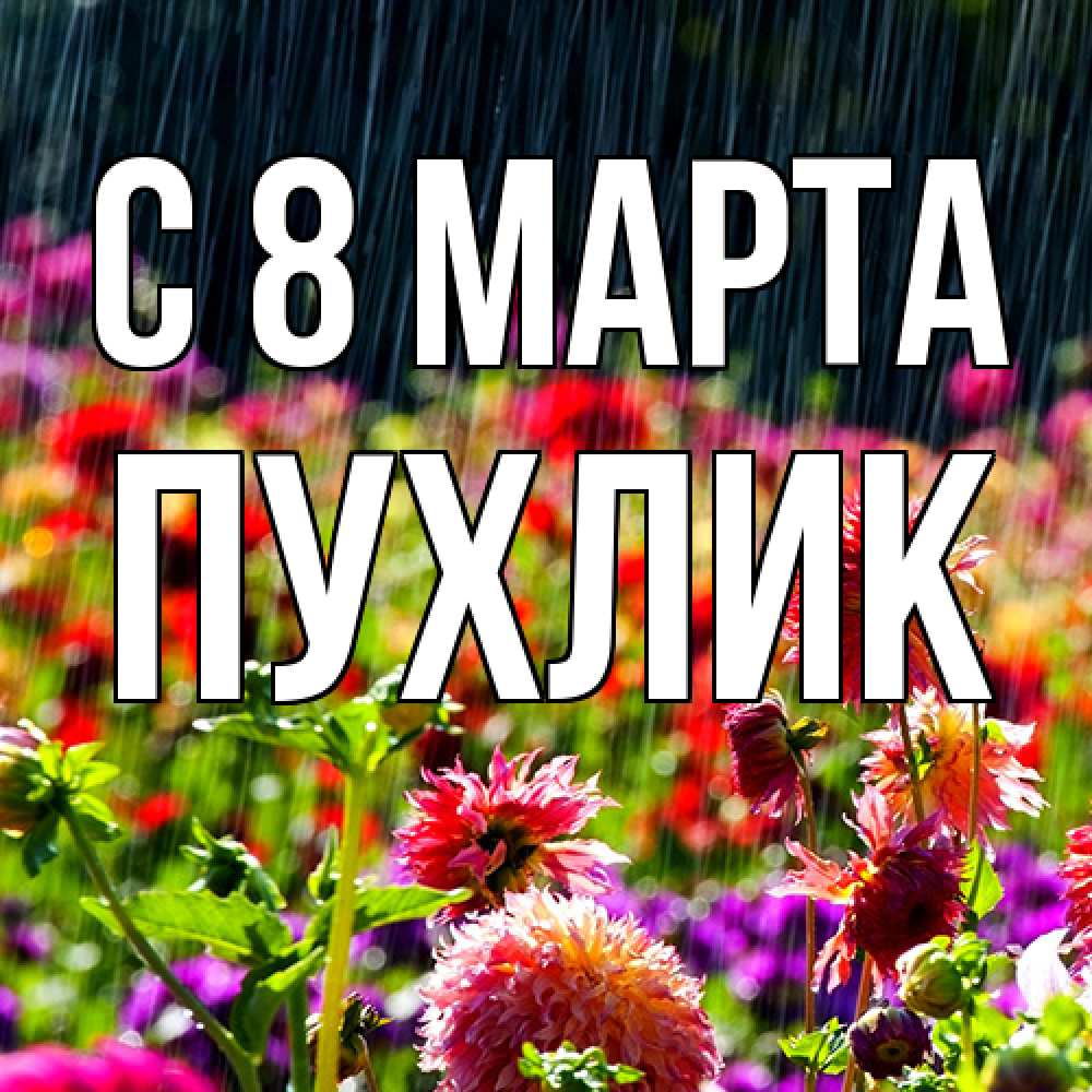 Открытка на каждый день с именем, пухлик C 8 МАРТА цветы под дождиком к международному женскому дню Прикольная открытка с пожеланием онлайн скачать бесплатно 