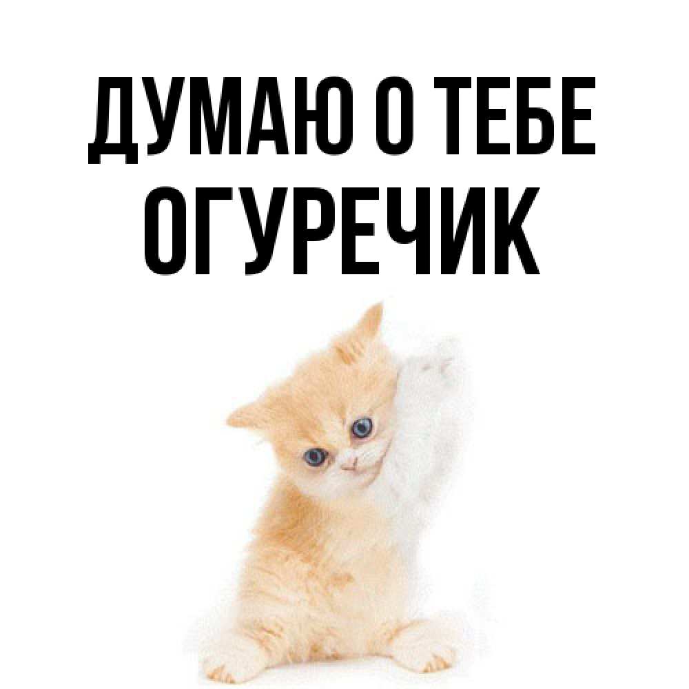 Открытка на каждый день с именем, Огуречик Думаю о тебе зверушки и милота Прикольная открытка с пожеланием онлайн скачать бесплатно 