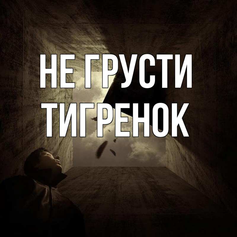 Картинка Не грусти, Тигpенок