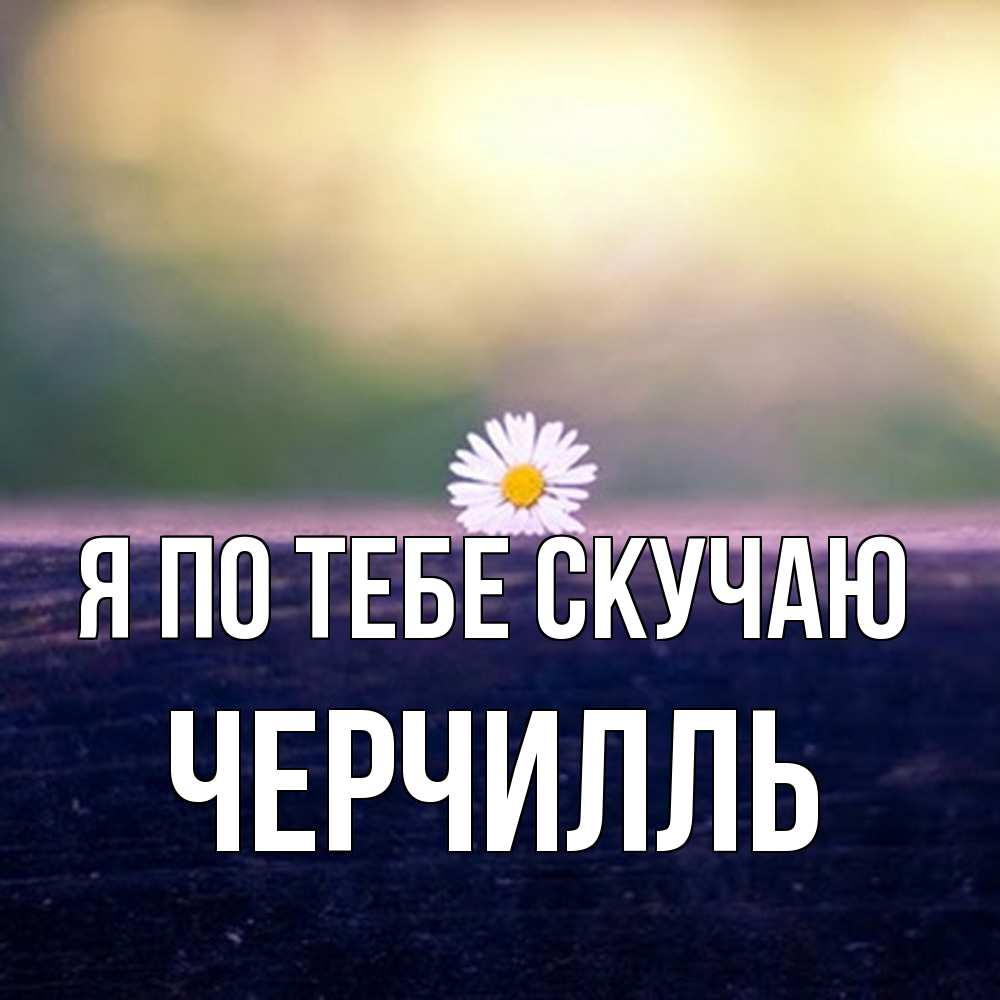 Открытка на каждый день с именем, Черчилль Я по тебе скучаю приходи в гости Прикольная открытка с пожеланием онлайн скачать бесплатно 