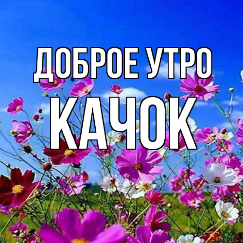 Картинка Доброе утро, Качок