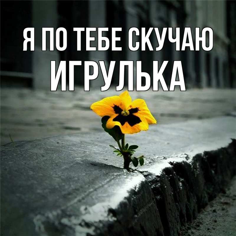 Картинка Я по тебе скучаю, игрулька