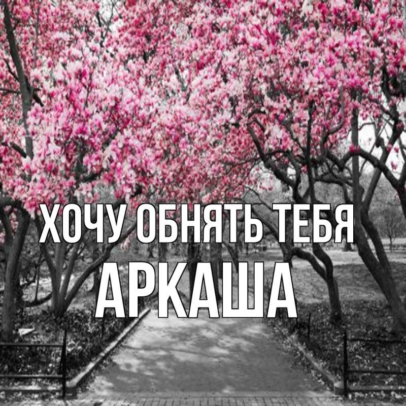 Картинка Хочу обнять тебя, Аркаша