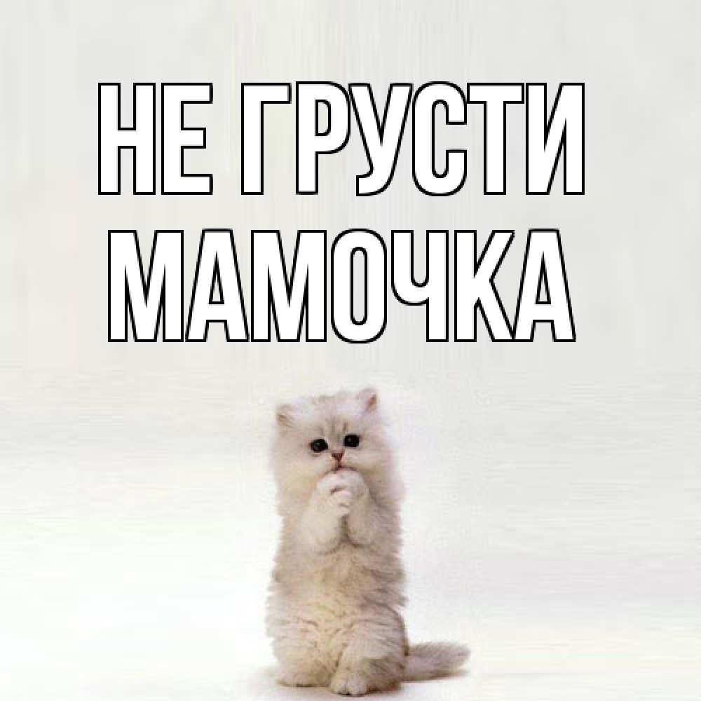 Открытка на каждый день с именем, Мамочка Не грусти грустный кот Прикольная открытка с пожеланием онлайн скачать бесплатно 