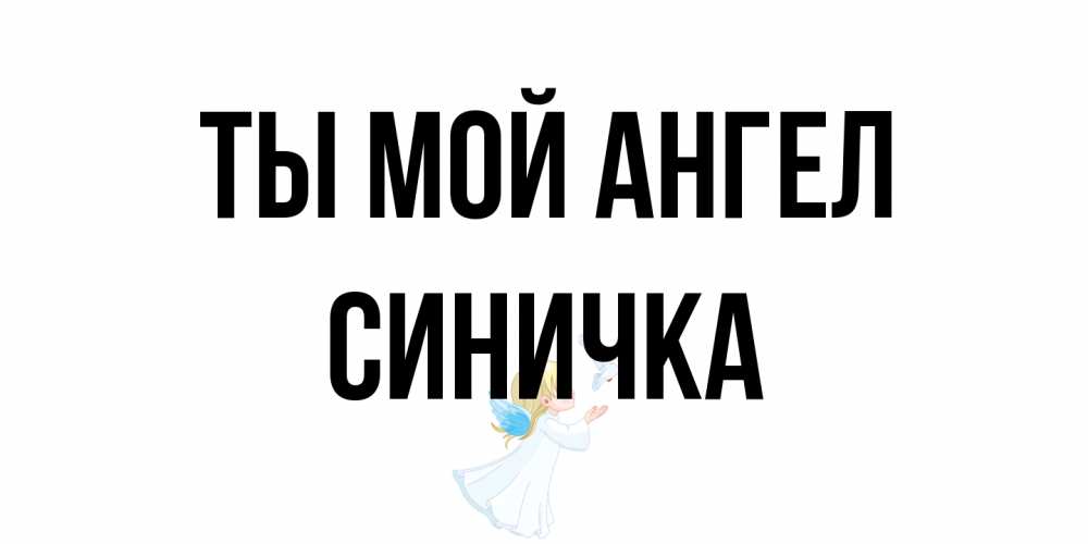 Открытка на каждый день с именем, Синичка Ты мой ангел ангел, голубь Прикольная открытка с пожеланием онлайн скачать бесплатно 