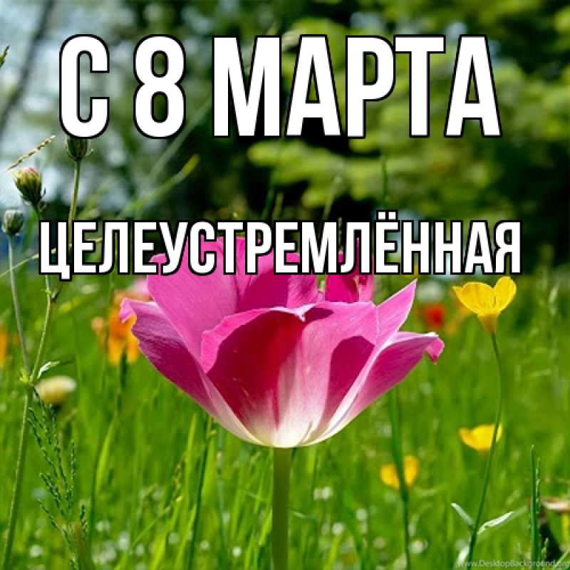 Картинка C 8 МАРТА, Целеустремлённая