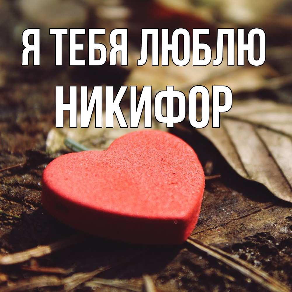 Открытка на каждый день с именем, Никифор Я тебя люблю листья деревье 4 Прикольная открытка с пожеланием онлайн скачать бесплатно 