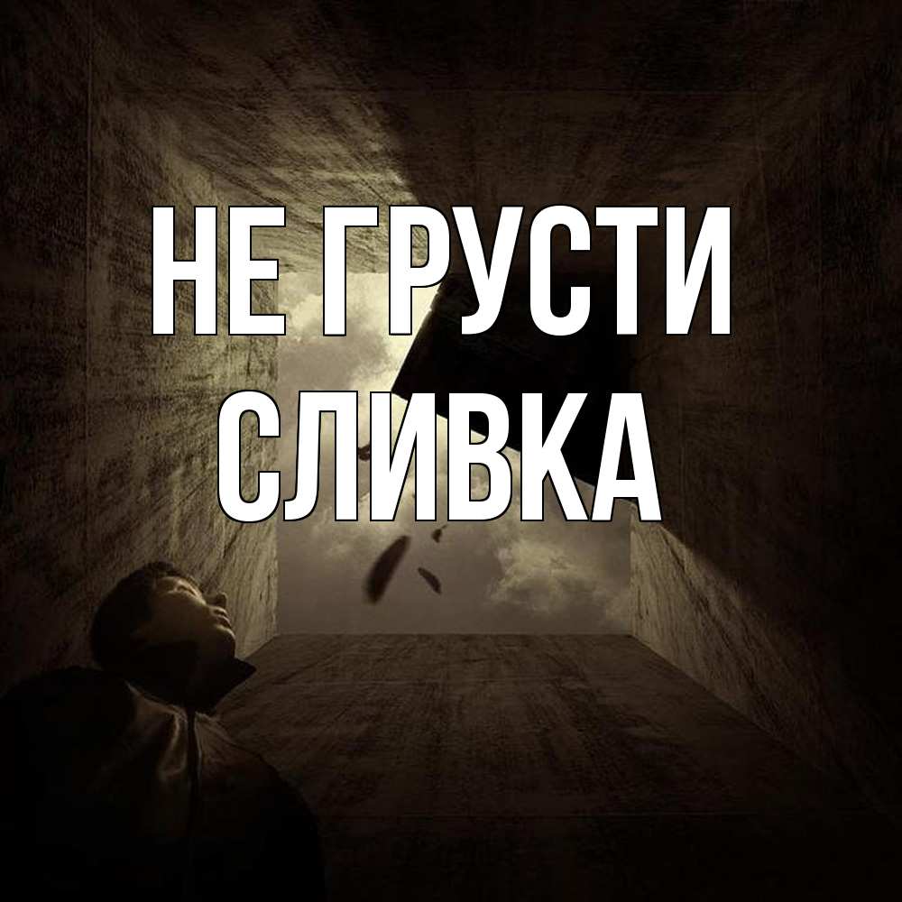 Открытка на каждый день с именем, Сливка Не грусти жуть Прикольная открытка с пожеланием онлайн скачать бесплатно 