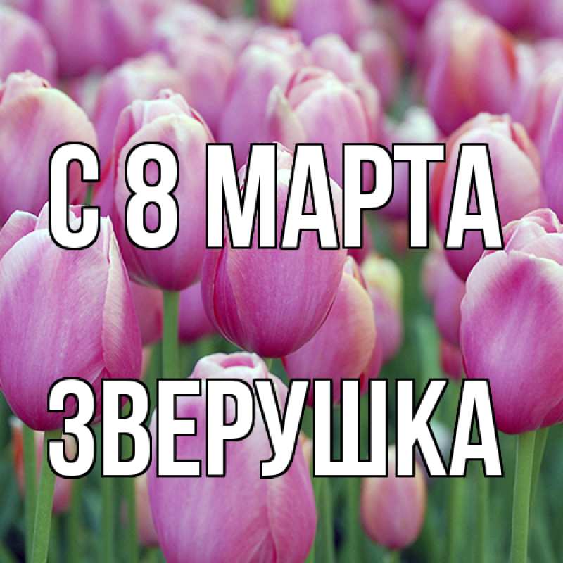 Картинка C 8 МАРТА, Зверушка