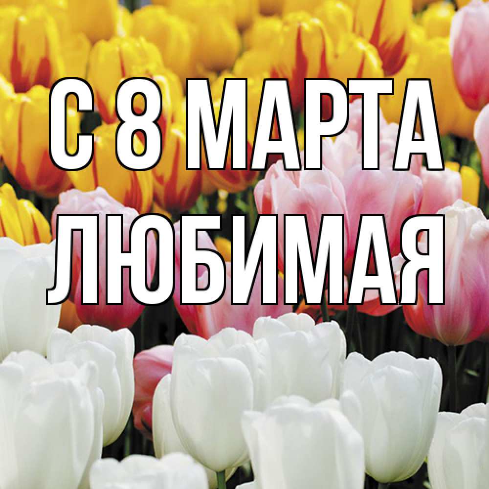 Открытка на каждый день с именем, Любимая C 8 МАРТА разноцветные цветы Прикольная открытка с пожеланием онлайн скачать бесплатно 