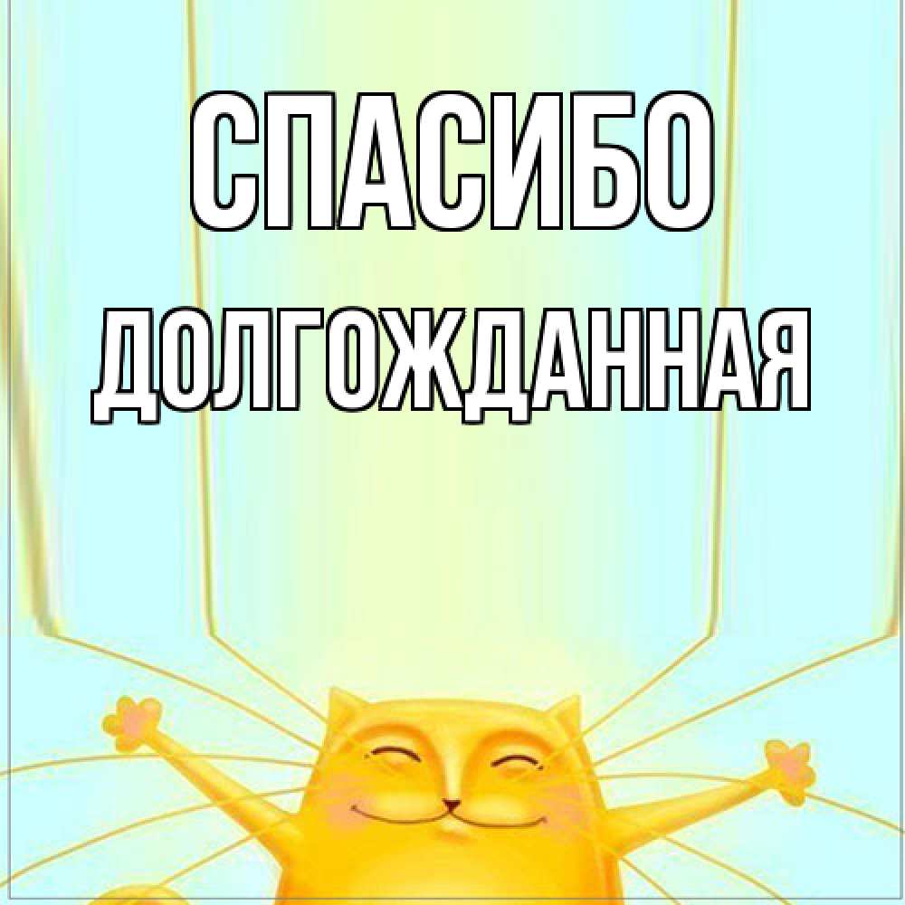 Открытка на каждый день с именем, Долгожданная Спасибо кот с усами благодарит Прикольная открытка с пожеланием онлайн скачать бесплатно 