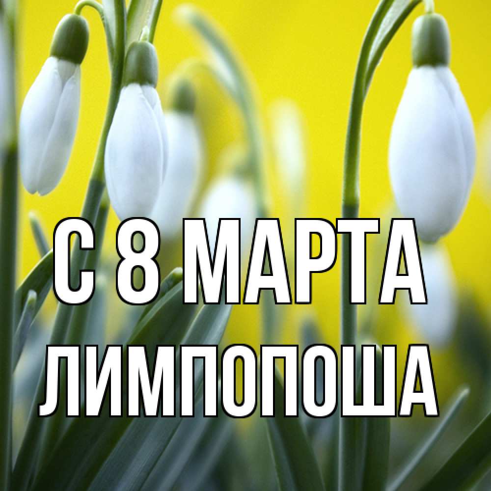 Открытка на каждый день с именем, лимпопоша C 8 МАРТА весенние цветы Прикольная открытка с пожеланием онлайн скачать бесплатно 