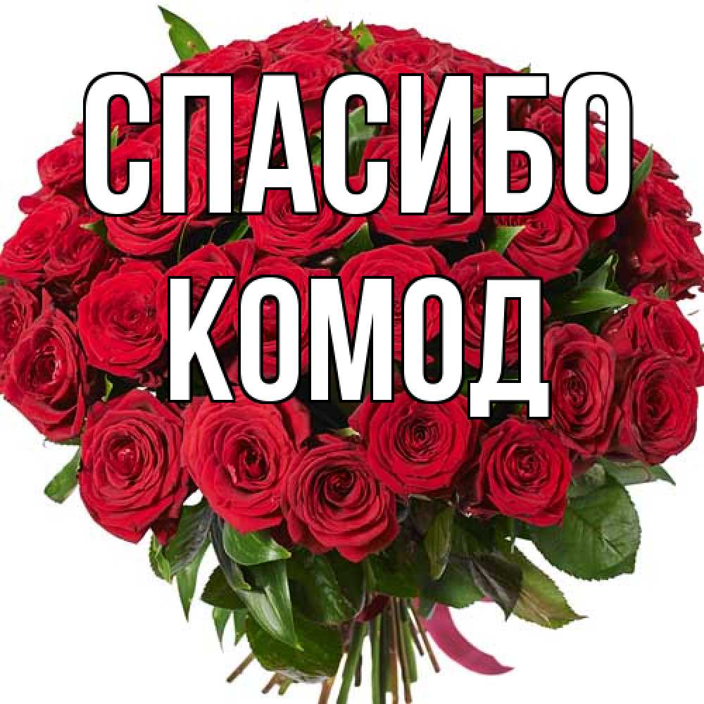 Открытка на каждый день с именем, Комод Спасибо букет красных роз Прикольная открытка с пожеланием онлайн скачать бесплатно 