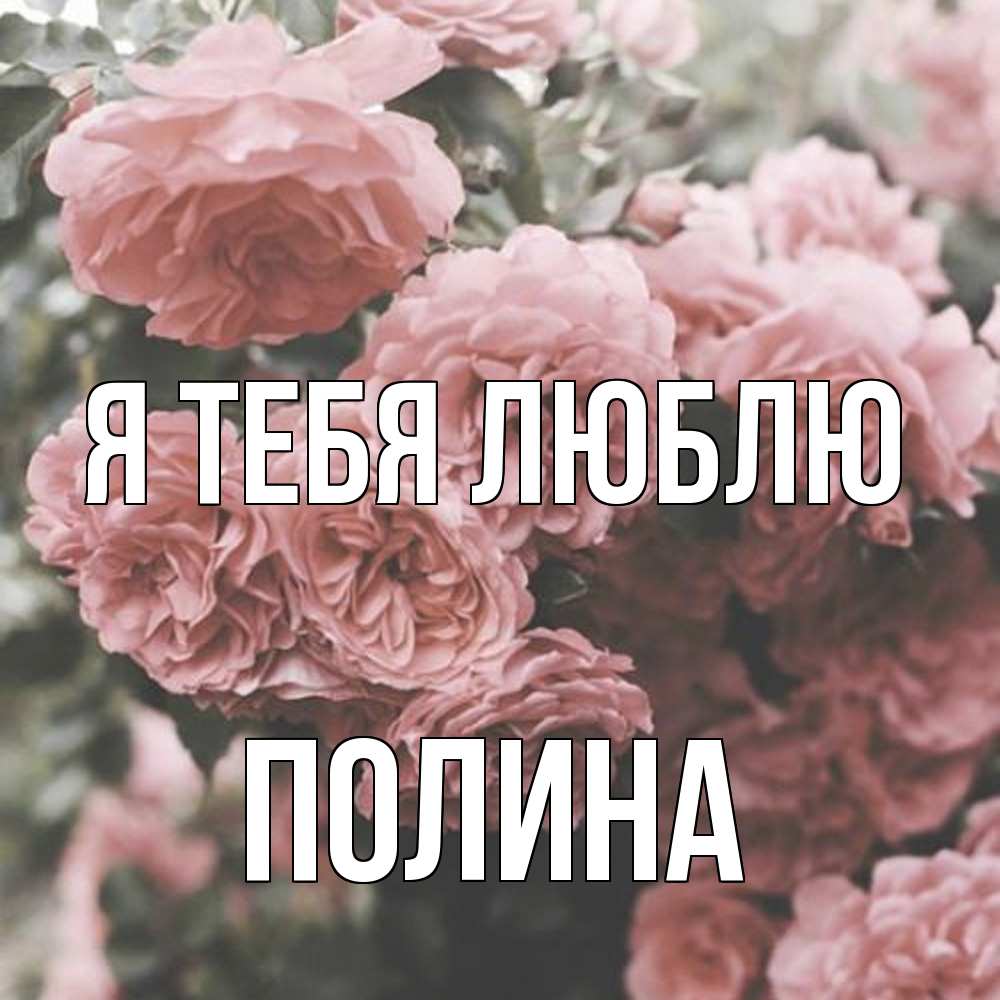 Открытка на каждый день с именем, Полина Я тебя люблю розы 3 Прикольная открытка с пожеланием онлайн скачать бесплатно 