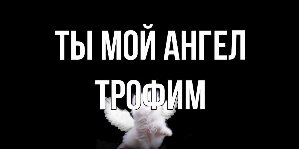 Открытка на каждый день с именем, Трофим Ты мой ангел Кот ангел Прикольная открытка с пожеланием онлайн скачать бесплатно 