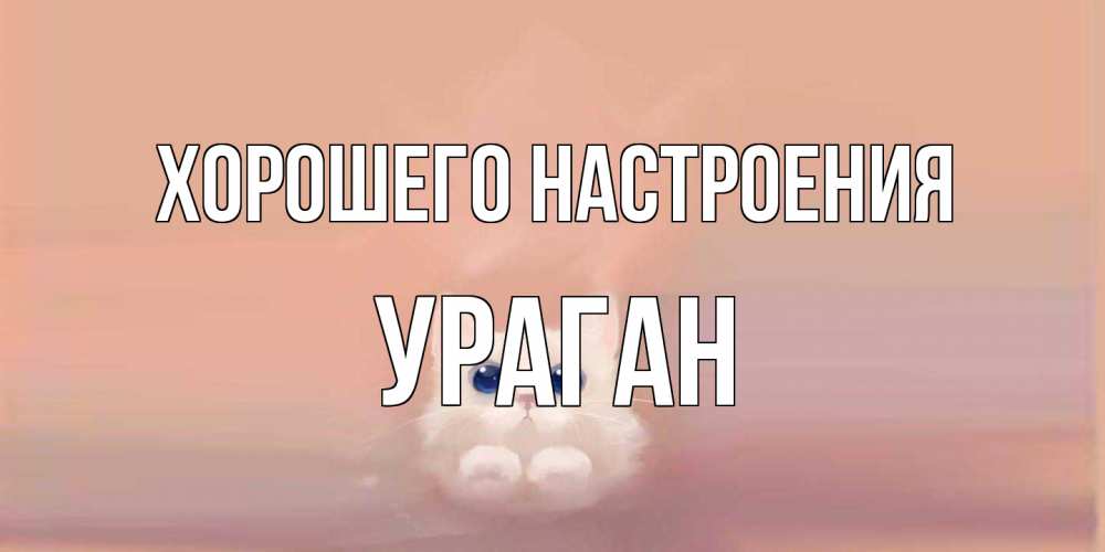 Открытка на каждый день с именем, Ураган Хорошего настроения кошка Прикольная открытка с пожеланием онлайн скачать бесплатно 