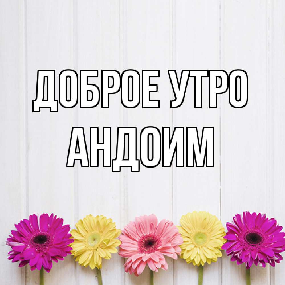 Открытка на каждый день с именем, Андоим Доброе утро красный желтый и розовый цветок Прикольная открытка с пожеланием онлайн скачать бесплатно 
