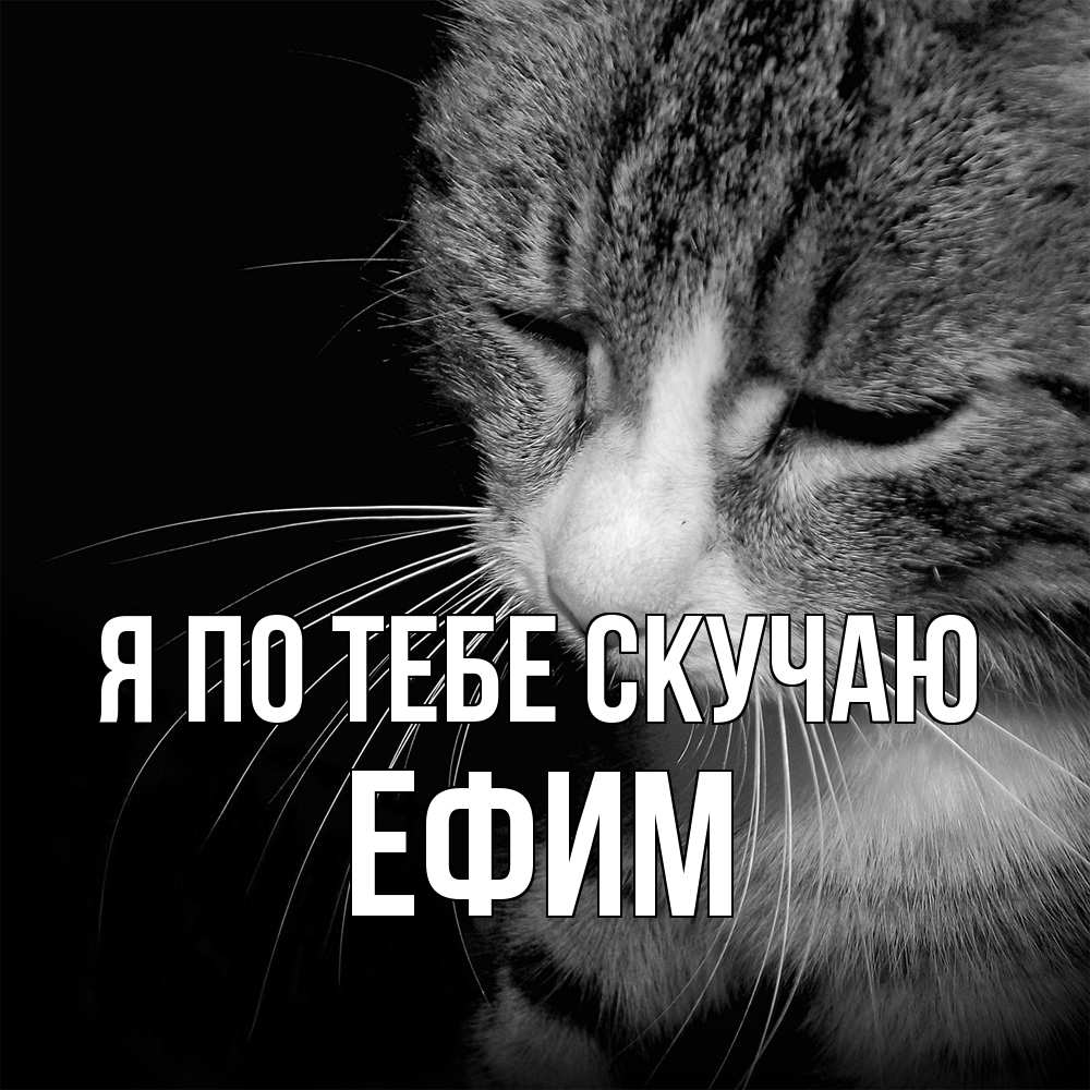 Открытка на каждый день с именем, Ефим Я по тебе скучаю мне скучно Прикольная открытка с пожеланием онлайн скачать бесплатно 