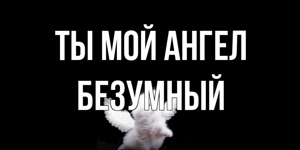 Открытка на каждый день с именем, Безумный Ты мой ангел Кот ангел Прикольная открытка с пожеланием онлайн скачать бесплатно 