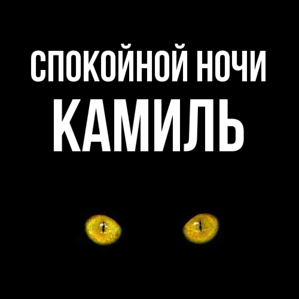 Открытка на каждый день с именем, Камиль Спокойной ночи сладких снов бесстрашный мой дружочек Прикольная открытка с пожеланием онлайн скачать бесплатно 