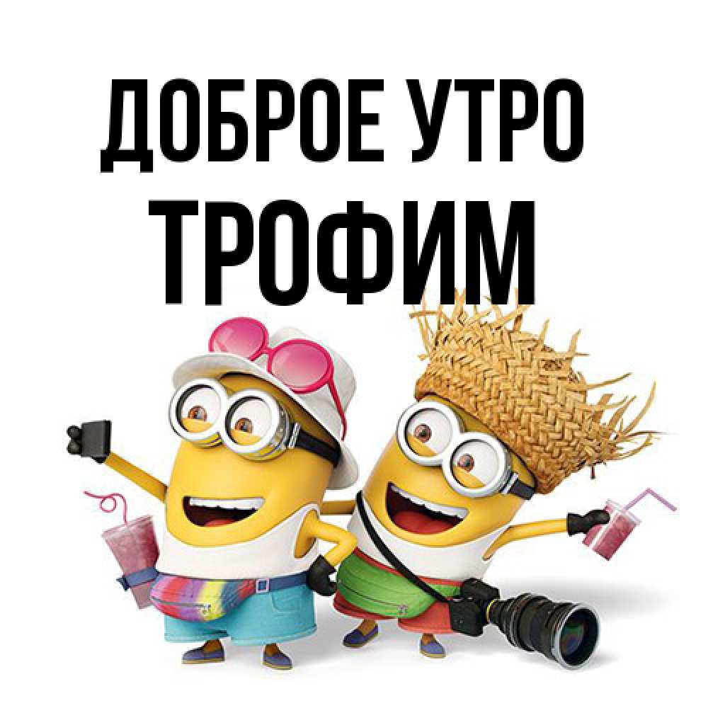 Открытка на каждый день с именем, Трофим Доброе утро карнавал Прикольная открытка с пожеланием онлайн скачать бесплатно 