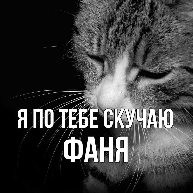 Картинка Я по тебе скучаю, Фаня