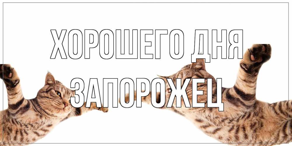 Открытка на каждый день с именем, Запорожец Хорошего дня хорошего дня Прикольная открытка с пожеланием онлайн скачать бесплатно 