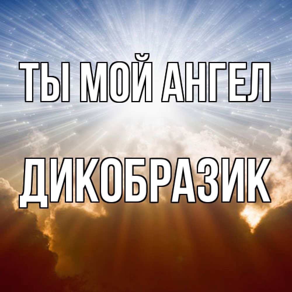 Открытка на каждый день с именем, дикобразик Ты мой ангел ангельский свет на небе Прикольная открытка с пожеланием онлайн скачать бесплатно 