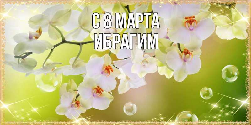 Картинка C 8 МАРТА, Ибрагим