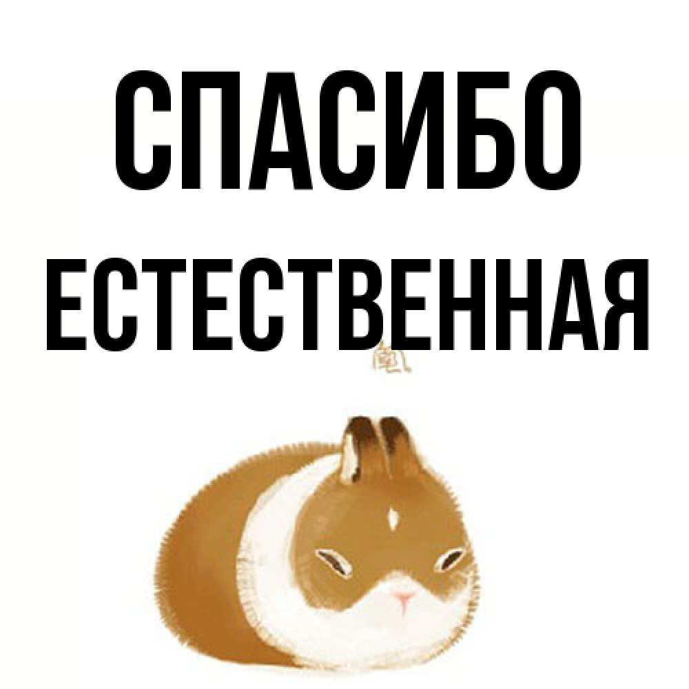 Открытка на каждый день с именем, Естественная Спасибо коричнево белый домашний питомец Прикольная открытка с пожеланием онлайн скачать бесплатно 